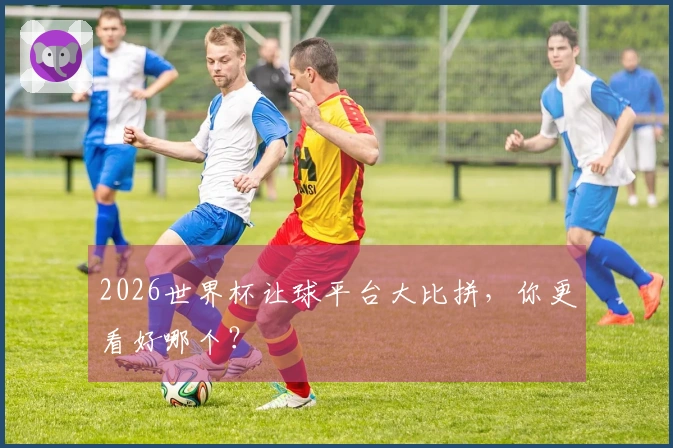 2026世界杯让球平台大比拼，你更看好哪个？