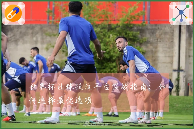 世界杯让球投注平台实战指南：如何选择最优选项