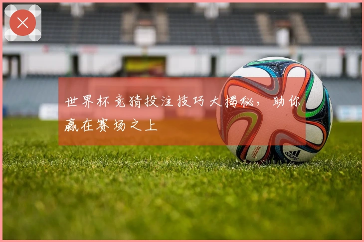 世界杯竞猜投注技巧大揭秘，助你赢在赛场之上