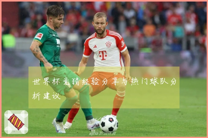 世界杯竞猜经验分享与热门球队分析建议