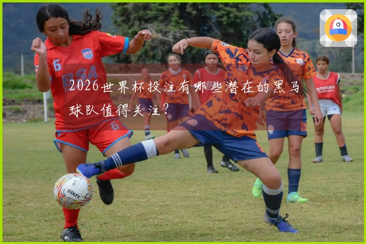 2026世界杯投注有哪些潜在的黑马球队值得关注？