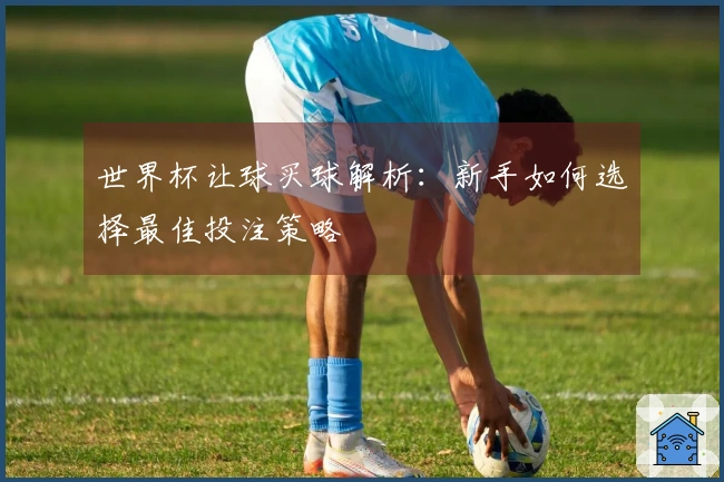 世界杯让球买球解析：新手如何选择最佳投注策略