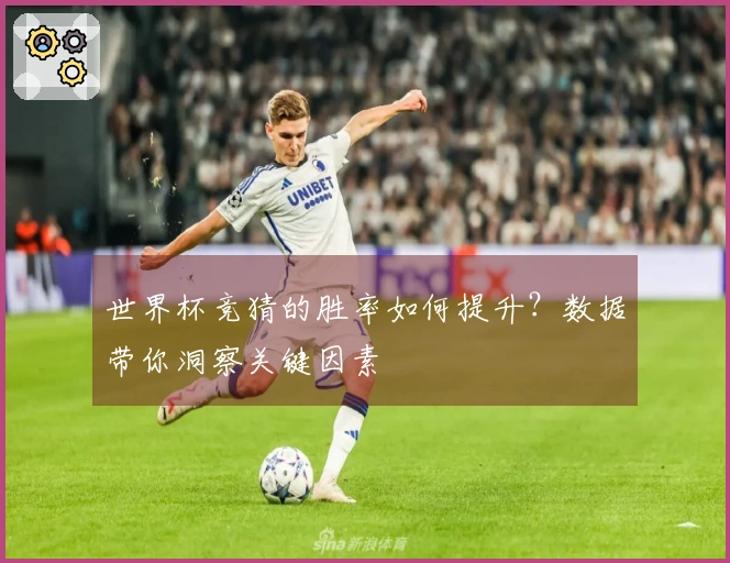 世界杯竞猜的胜率如何提升？数据带你洞察关键因素