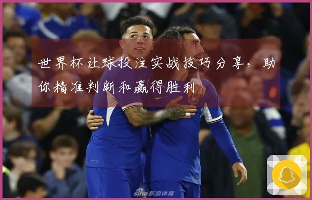 世界杯让球投注实战技巧分享，助你精准判断和赢得胜利