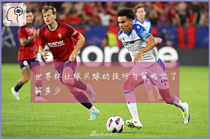 世界杯让球买球的技巧与策略你了解多少