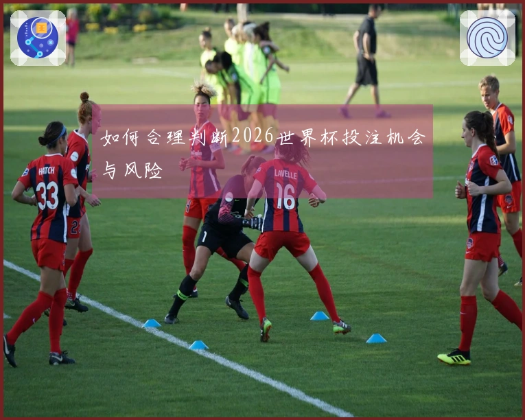 如何合理判断2026世界杯投注机会与风险