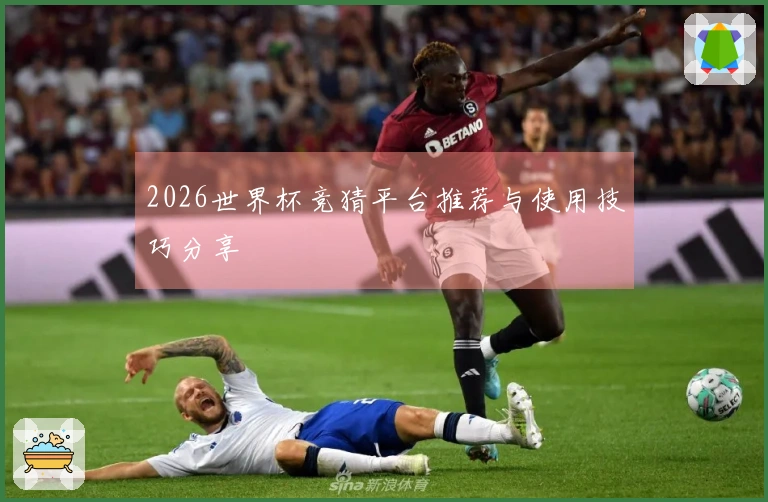 2026世界杯竞猜平台推荐与使用技巧分享