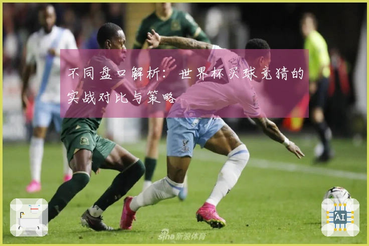 不同盘口解析：世界杯买球竞猜的实战对比与策略