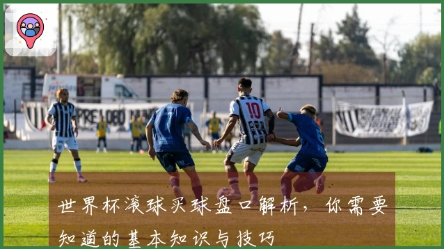 世界杯滚球买球盘口解析，你需要知道的基本知识与技巧