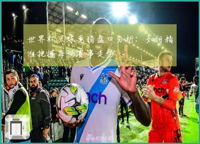 世界杯买球竞猜盘口分析：如何精准把握每场赛事走势
