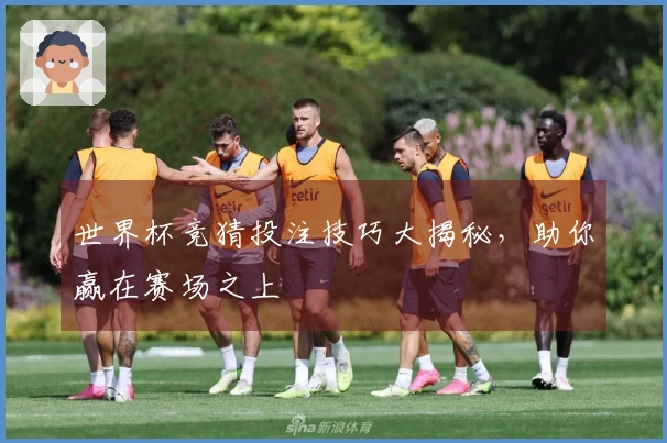 世界杯竞猜投注技巧大揭秘，助你赢在赛场之上